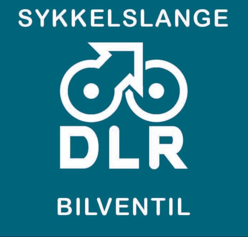 DLR Bil 24